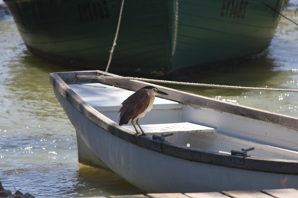 Boathouse - Birks River Retreat - Birks Harbour主图
