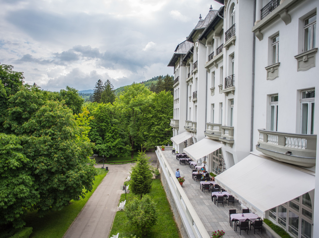 Restaurant Palace Sinaia