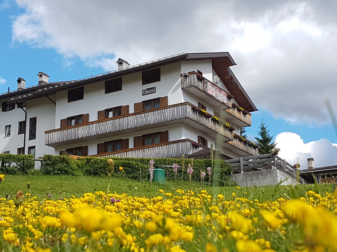 Hotel Garni Ongaro主图