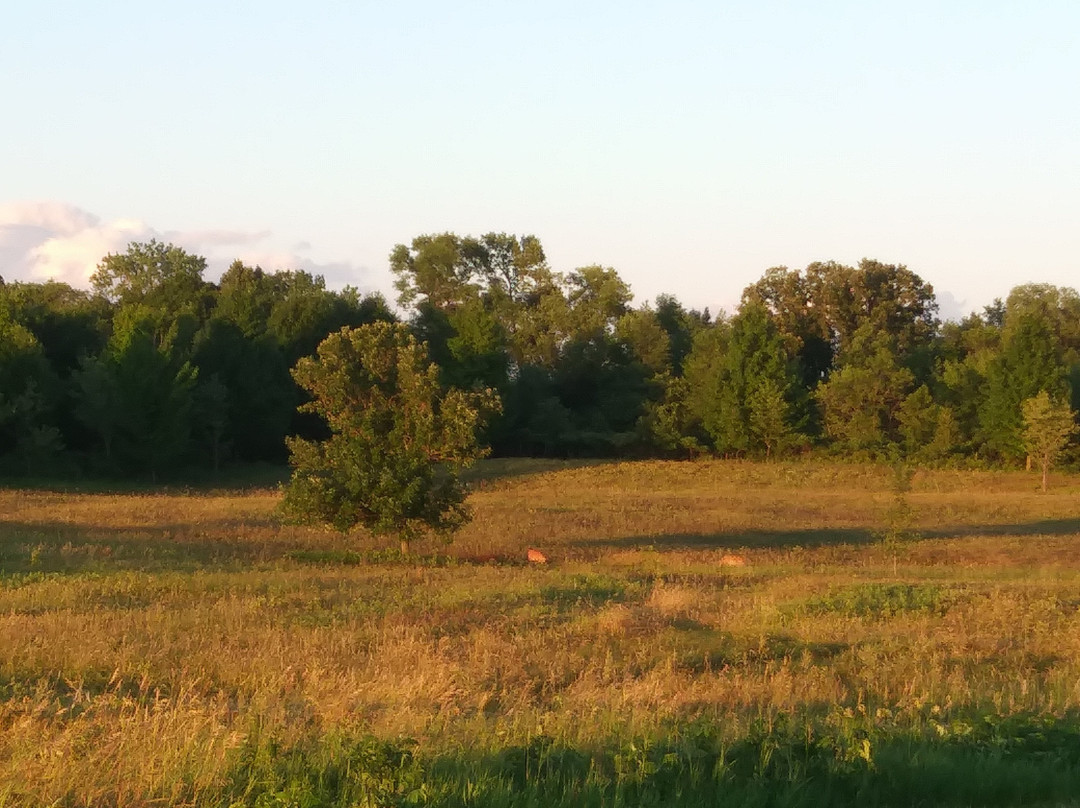 Elm Creek Singletrack Trail景点图片