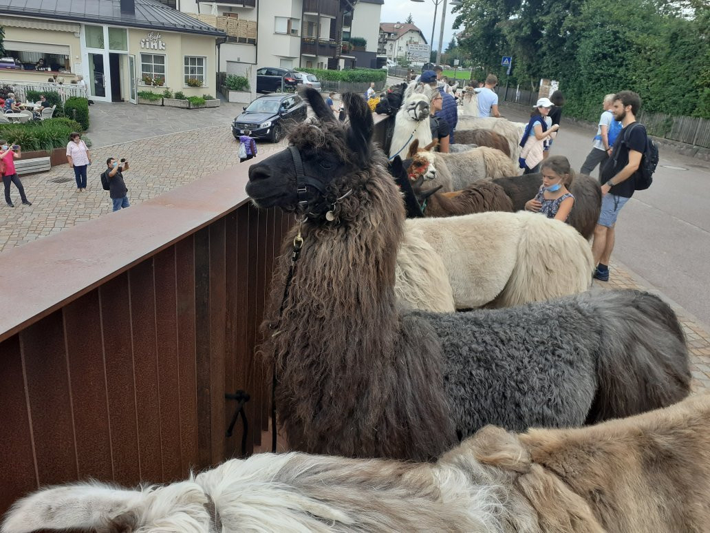 Kaserhof景点图片