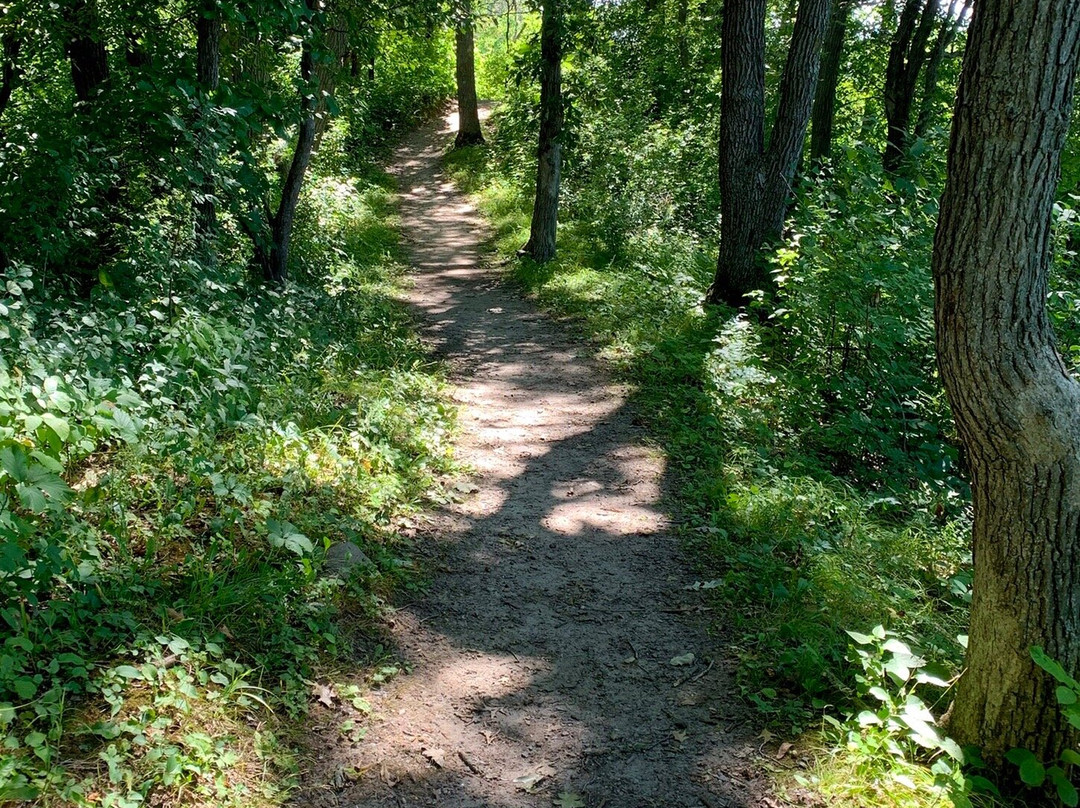 Lake Maria State Park景点图片