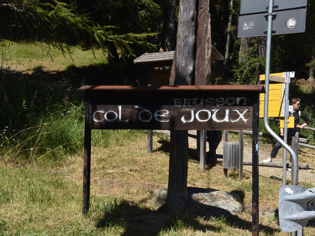 Col de Joux-Saint-Vincent必去景点