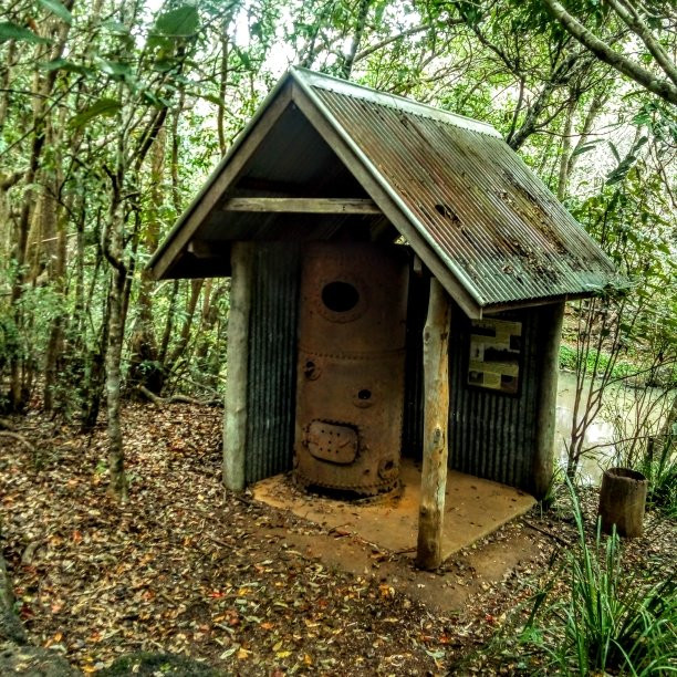 The Peterson Creek Walking Track-Yungaburra必去景点