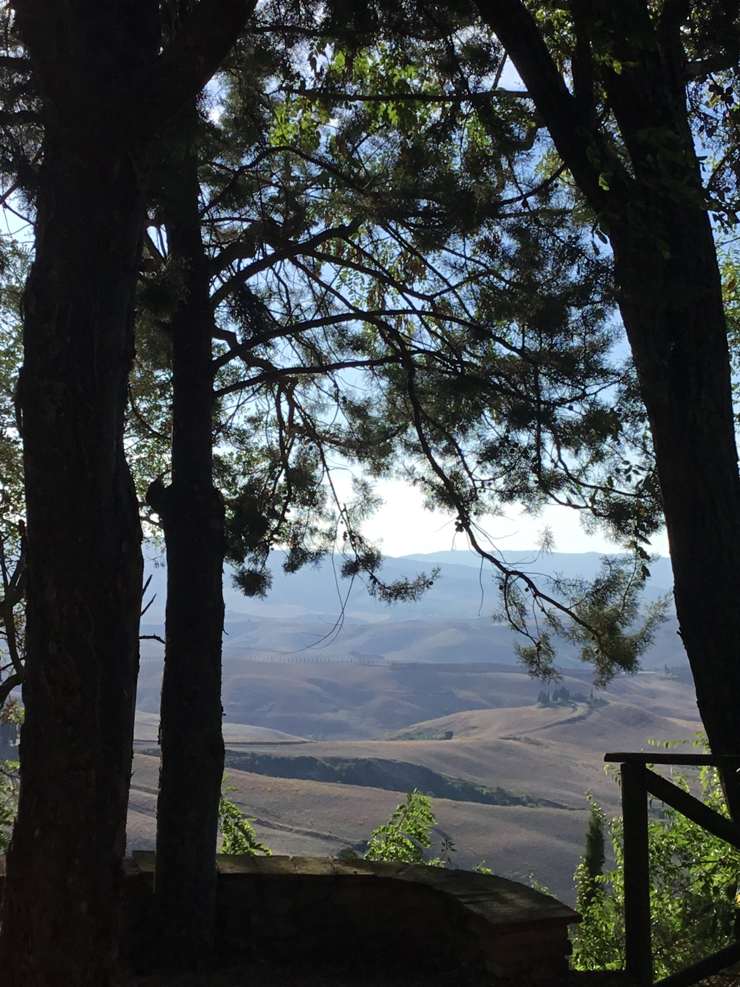 Agriturismo Podere Fraggina-酒店景观