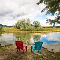 Oddfellow Inn and Farm主图