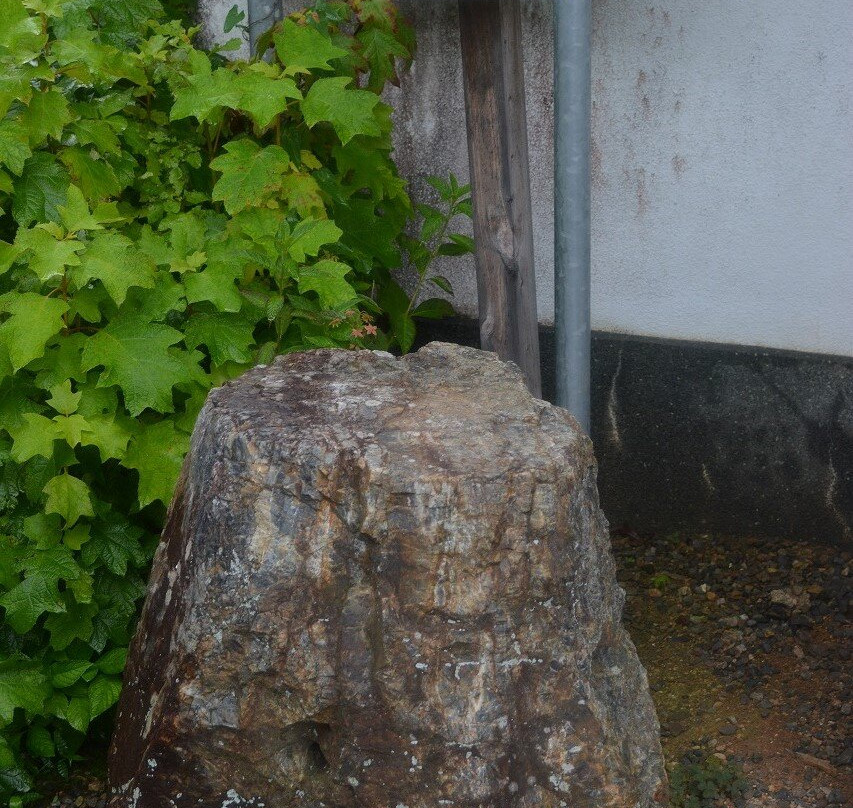 Sankoji Temple-山形市必去景点