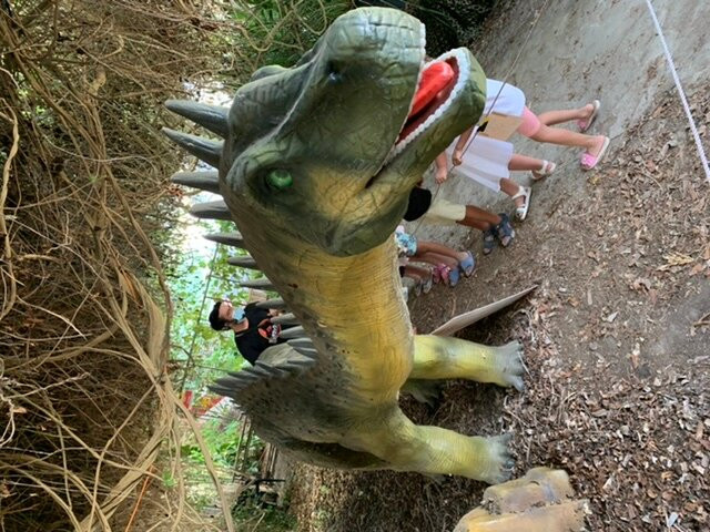 Dinosarium景点图片