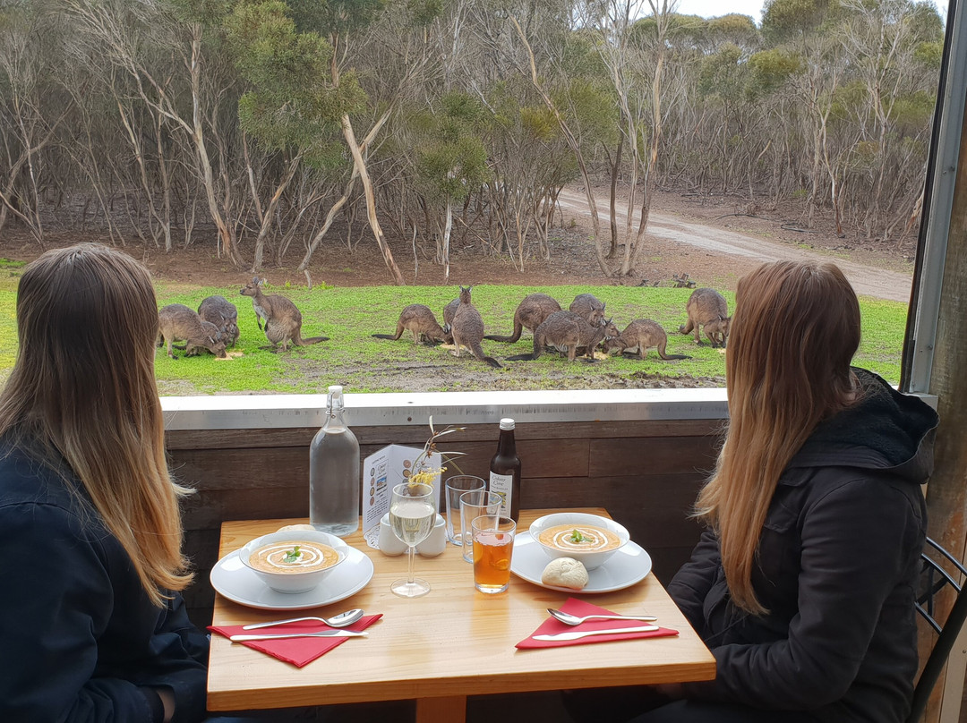 Emu Ridge Eucalyptus景点图片