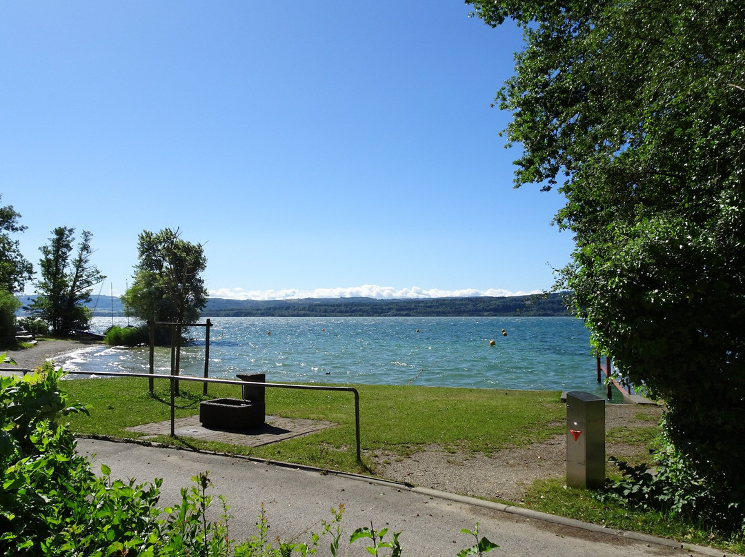 Plage de Corcelettes les pins