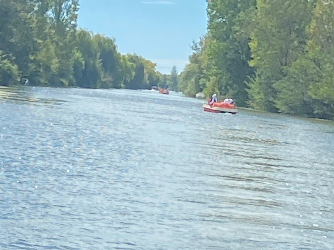 Embarcadère du Marais Poitevin景点图片
