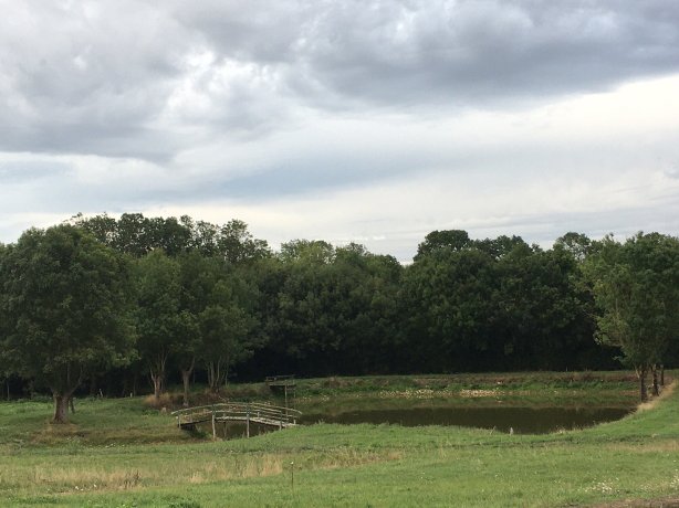 La Maison Neuve-官方