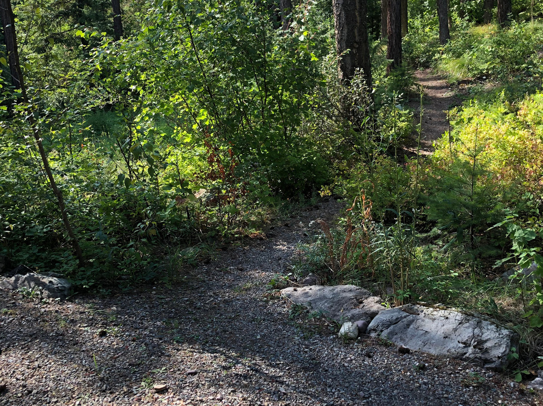 Glacier Guides Lodge主图