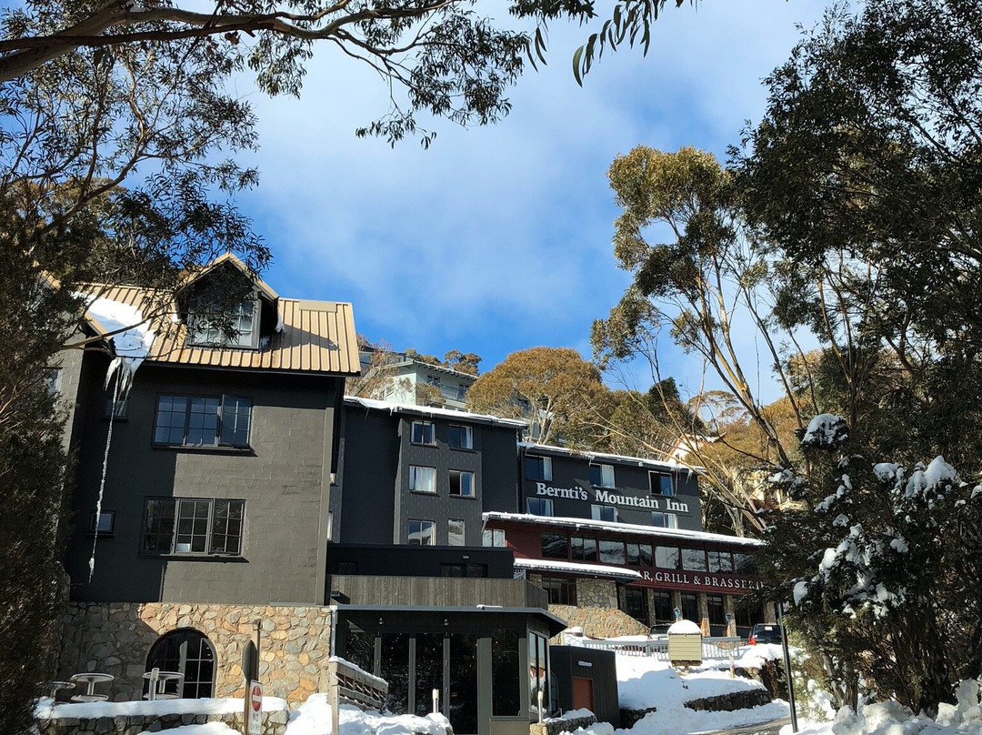 Bernti's Mountain Inn主图