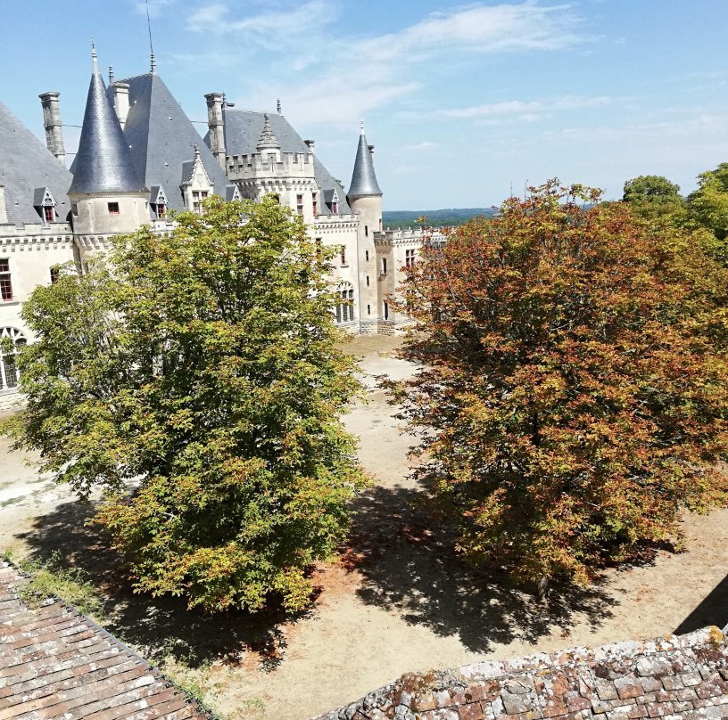Montaigne's Tower景点图片