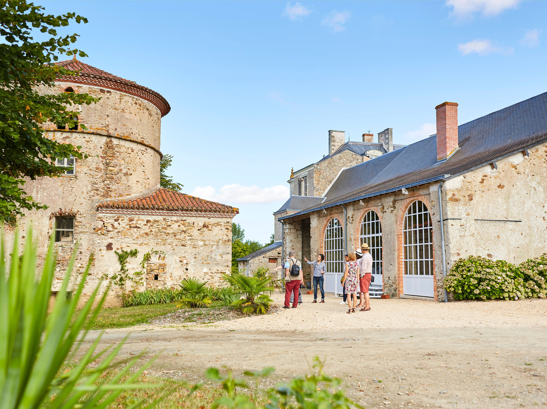 Chateau du Coing景点图片