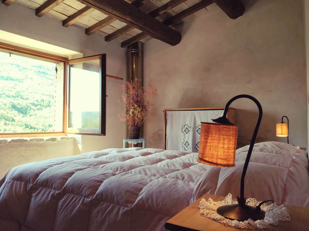 Precicchie酒店住宿-B&B La Casina del Vicolo di Sotto