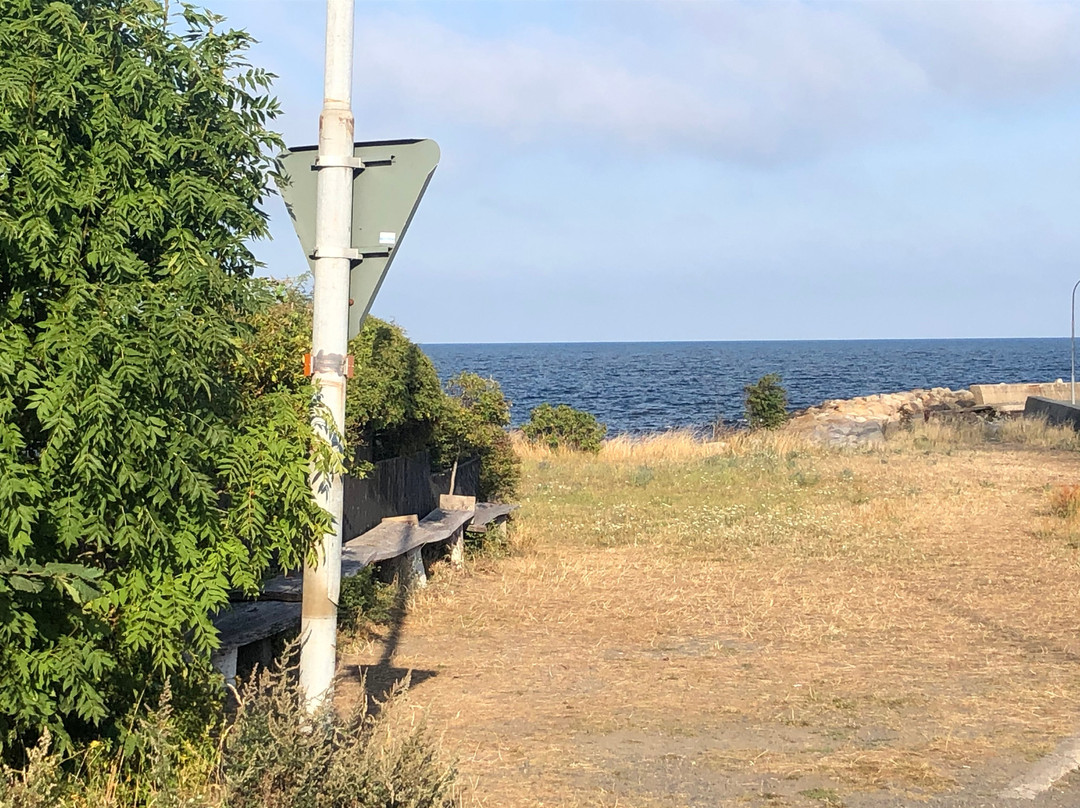 Hornan pa Brantevik主图