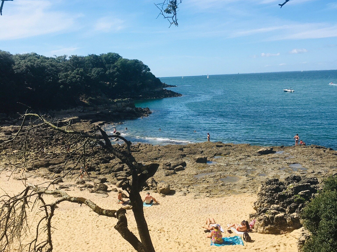 Plage des Sables Jaunes-Ile d'Aix必去景点