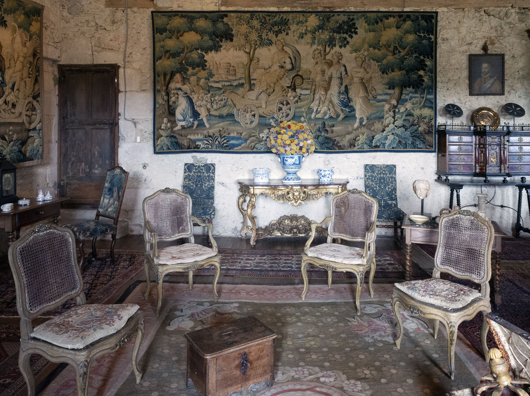 Chateau de Boussac景点图片