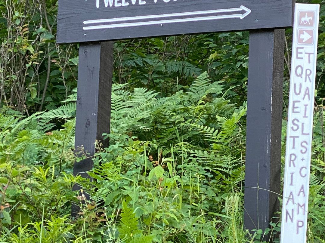 12 Foot Falls County Park-Dunbar必去景点