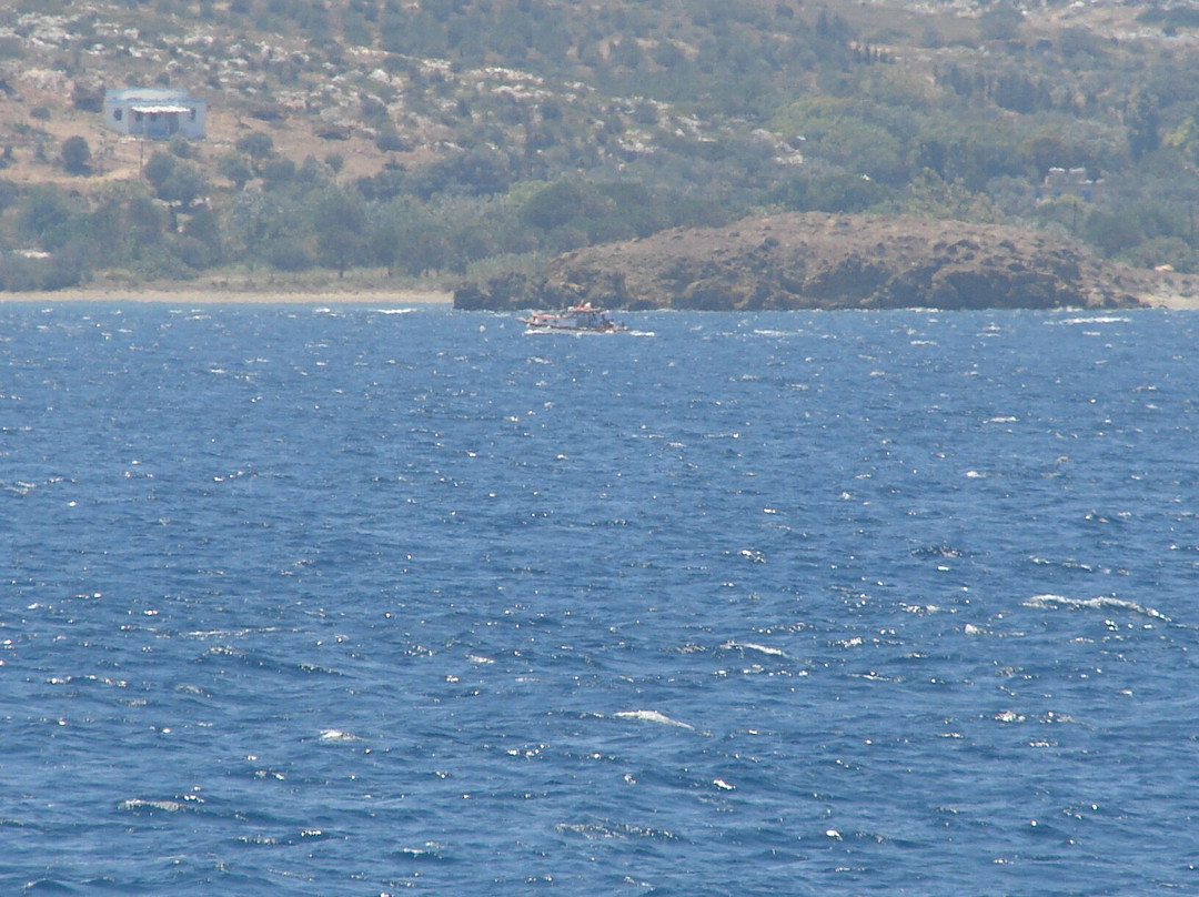 Tekirbahce beach景点图片