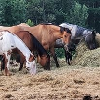 Roaring Brook Ranch Resort-浴室