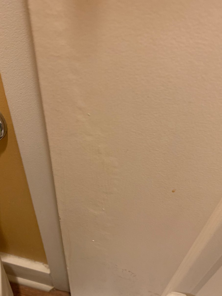 盖恩斯维尔西北TownePlace Suites酒店-浴室