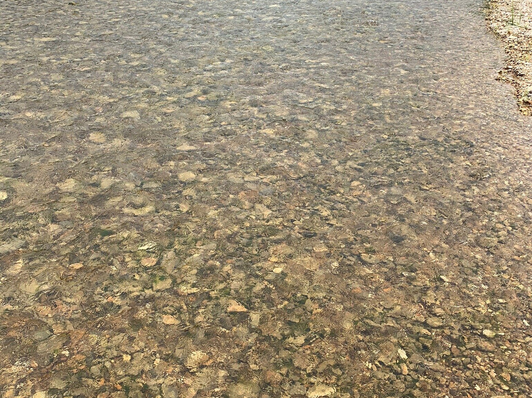 Buffalo River Outfitters-Saint Joe必去景点