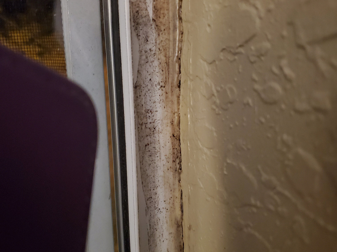 Comfort Inn & Suites主图