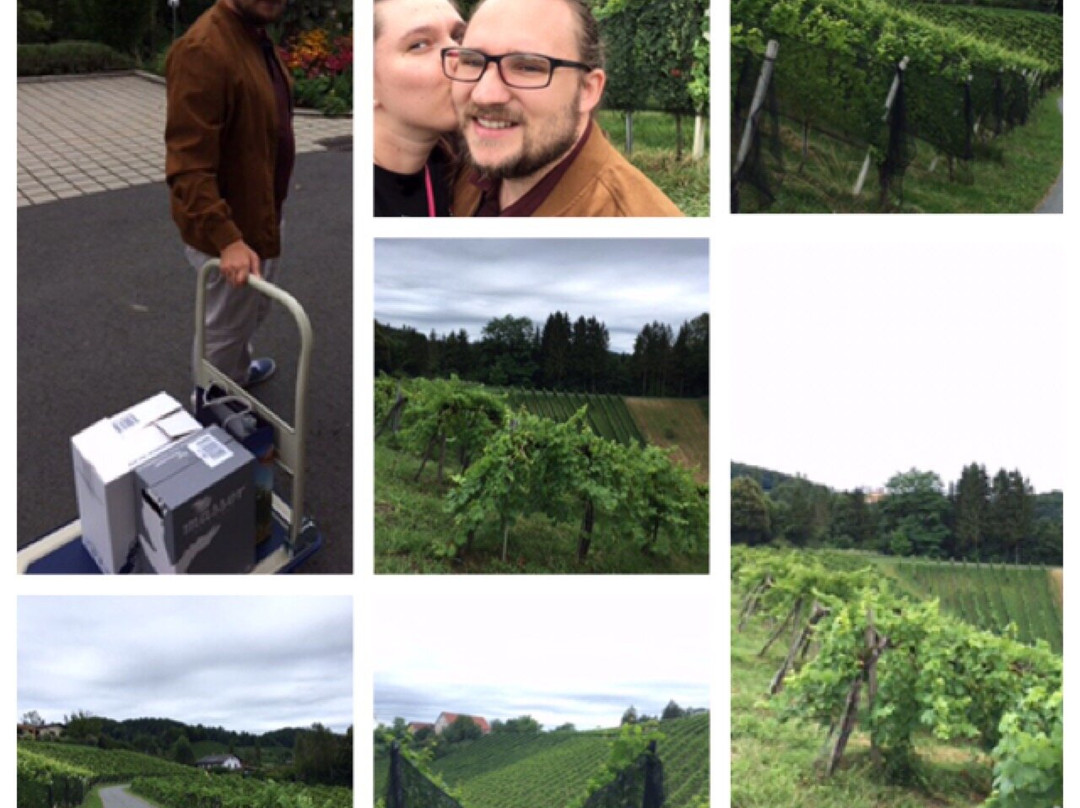 Weingut Masser-洛伊查赫必去景点