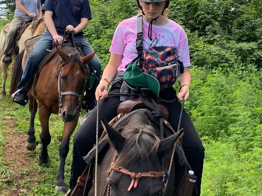 Elk Mountain Riding Company-Newland必去景点