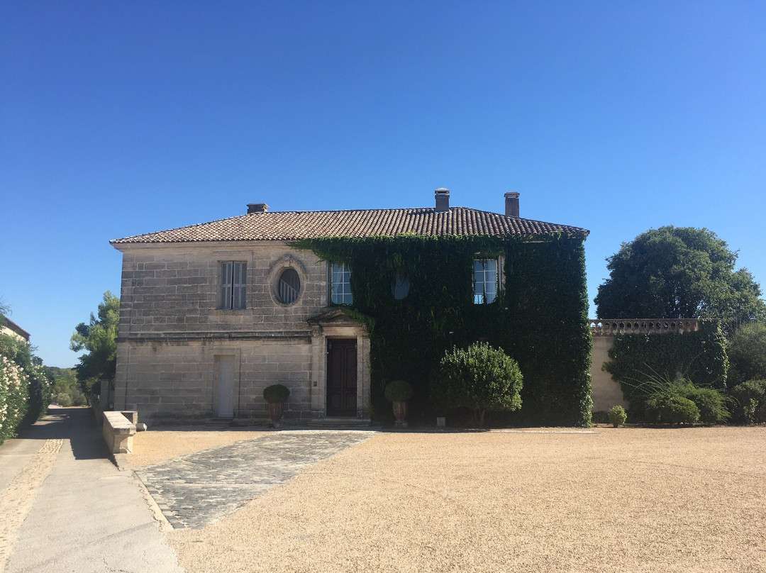 Château Puech-Haut景点图片