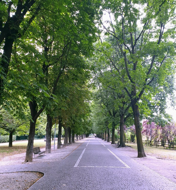 Parco Allea San Luca-诺瓦拉必去景点