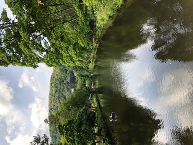 Lovers' Walks-Matlock Bath必去景点