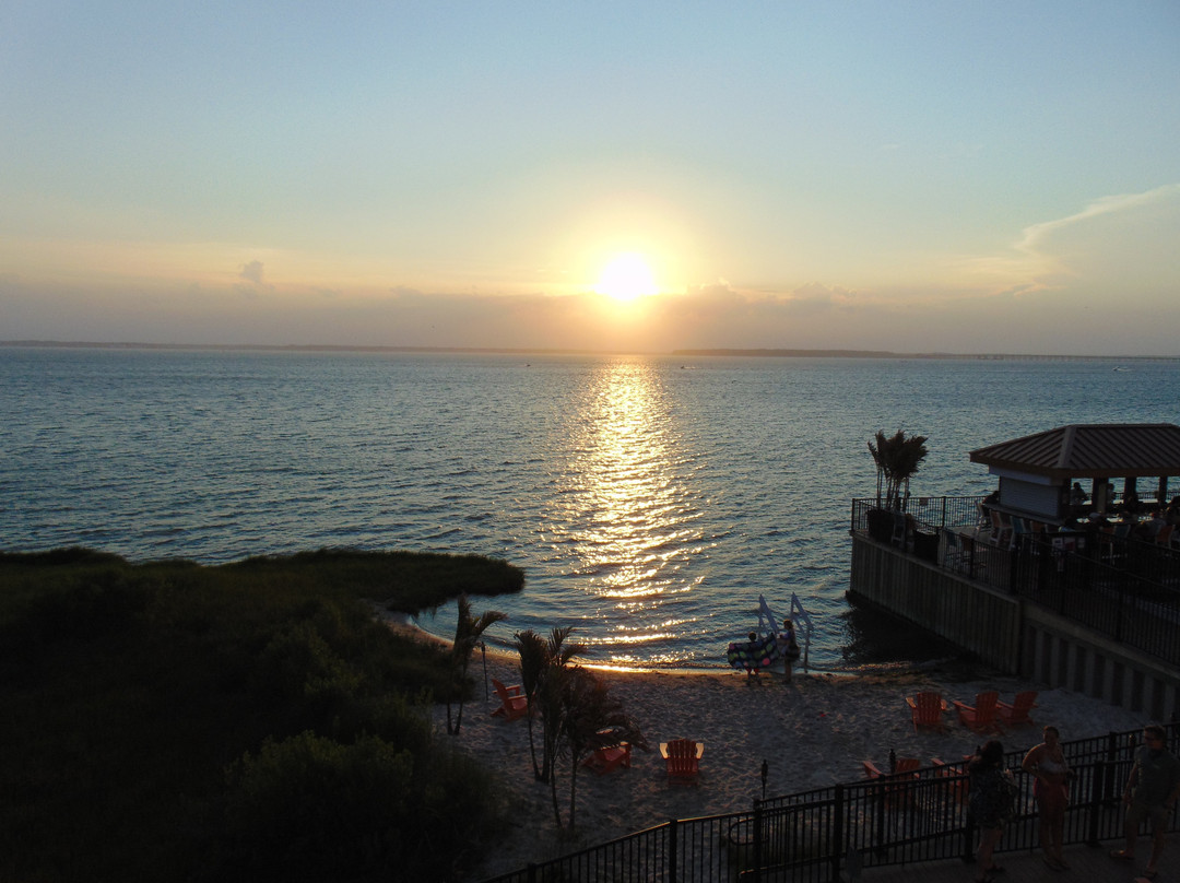 Aloft Ocean City主图