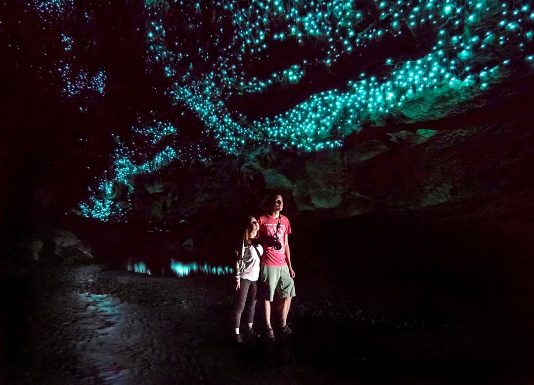 Waipu Caves Track景点图片
