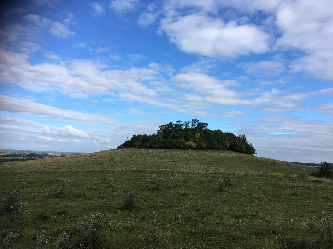 Wittenham Clumps-Little Wittenham必去景点