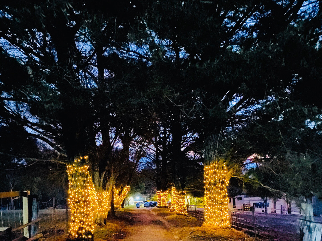 Bumblebrook Farm Motel主图