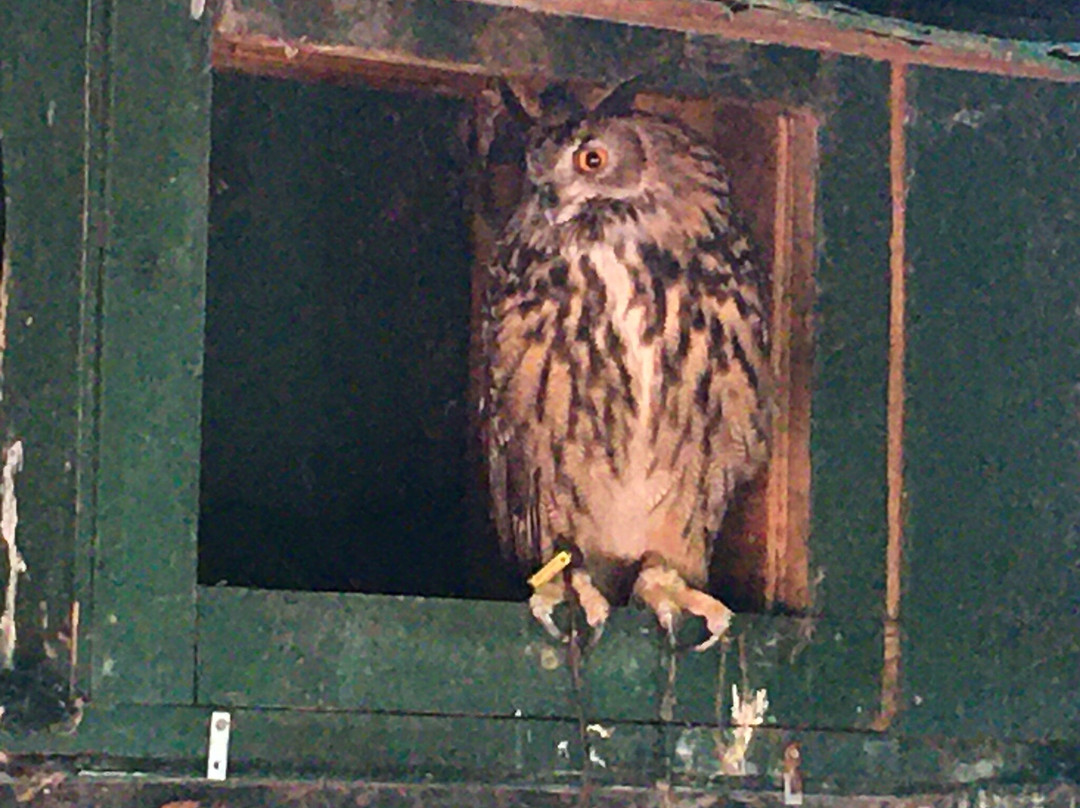 Adirondack Wildlife Refuge-Wilmington必去景点