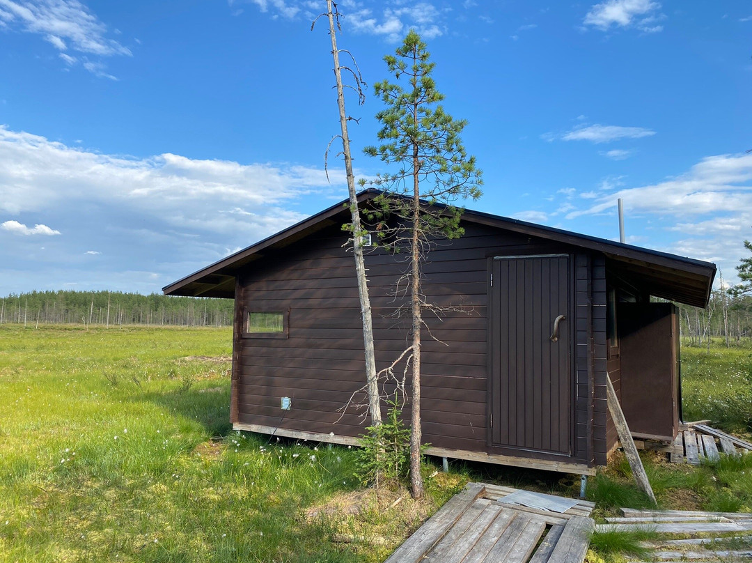 Wildlife Safaris Finland - Day Tours景点图片