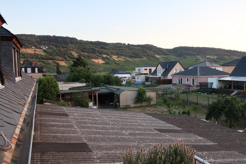 Moselweingut & Gastehaus Hubertushof-酒店景观