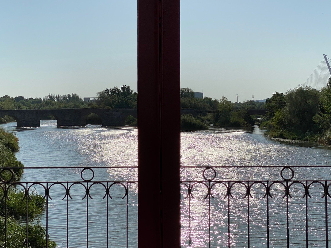 Puente de Hierro-塔拉韦拉-德拉雷纳必去景点