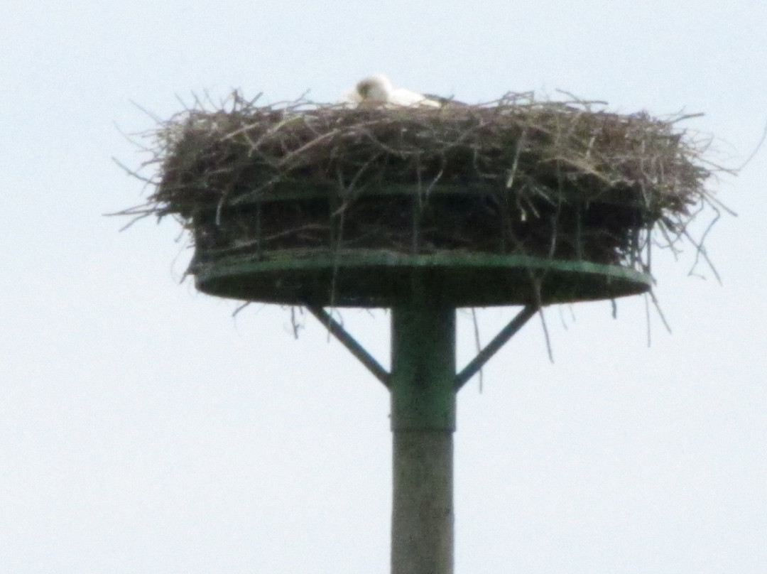 Biotop Beeden-Homburg必去景点