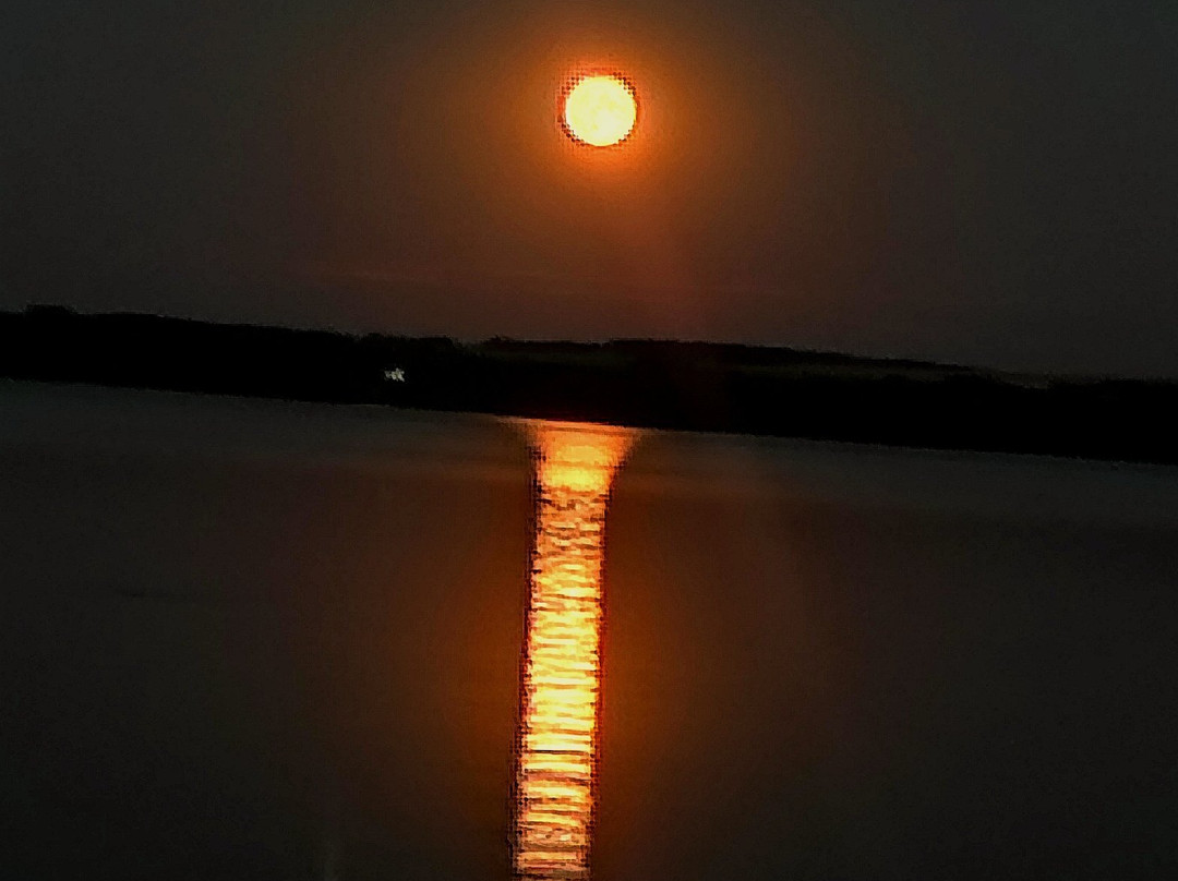Jezioro Nyskie景点图片