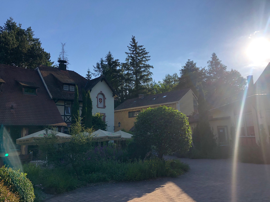 Hotel Dammenmühle主图