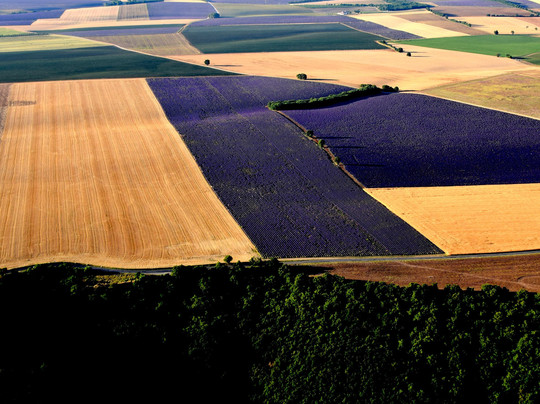 Aéronefs & Aérostats De Provence-Puimoisson必去景点