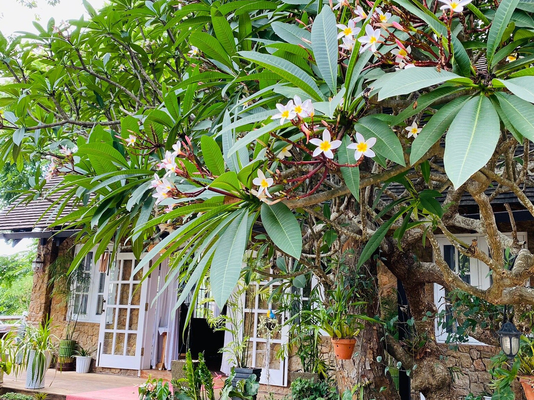 Royal Kalaw Hills Resort主图