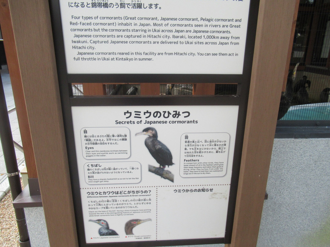 吉香公園景点图片