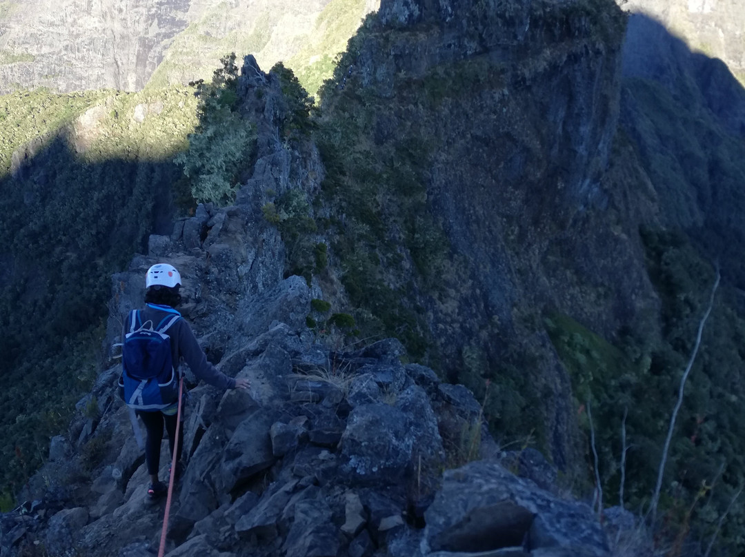 Guide-Pro974-圣丹尼必去景点